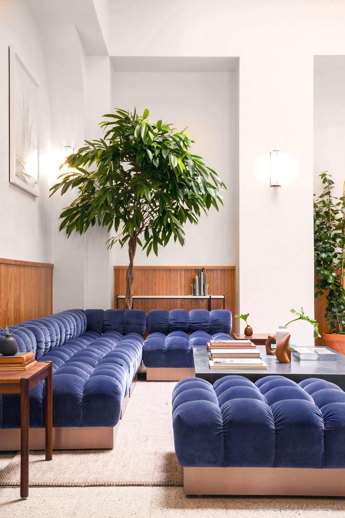 סן פרנסיסקו Tilden Hotel מראה חיצוני תמונה